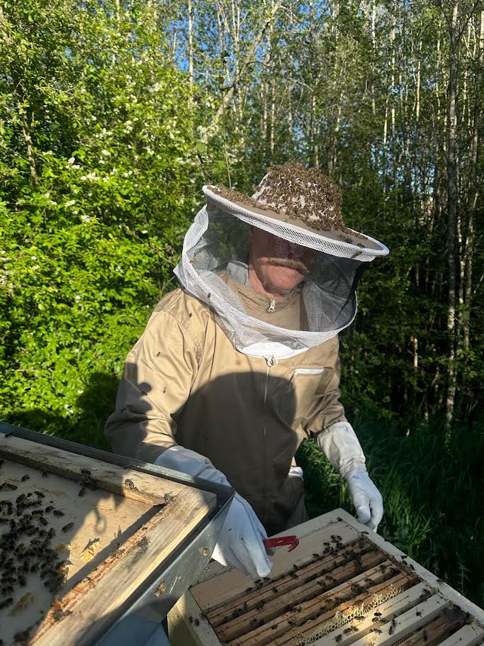 Birøkteren i arbeid blant bikubene i grønne omgivelser
